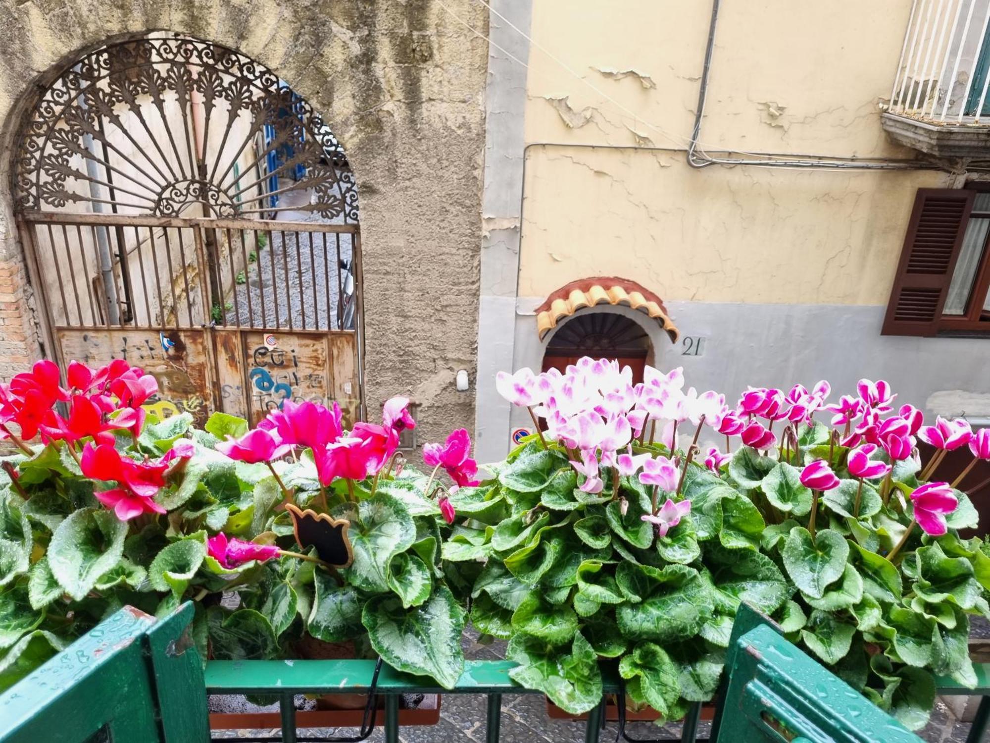 La Casa Di Domi Appartement Napels Buitenkant foto